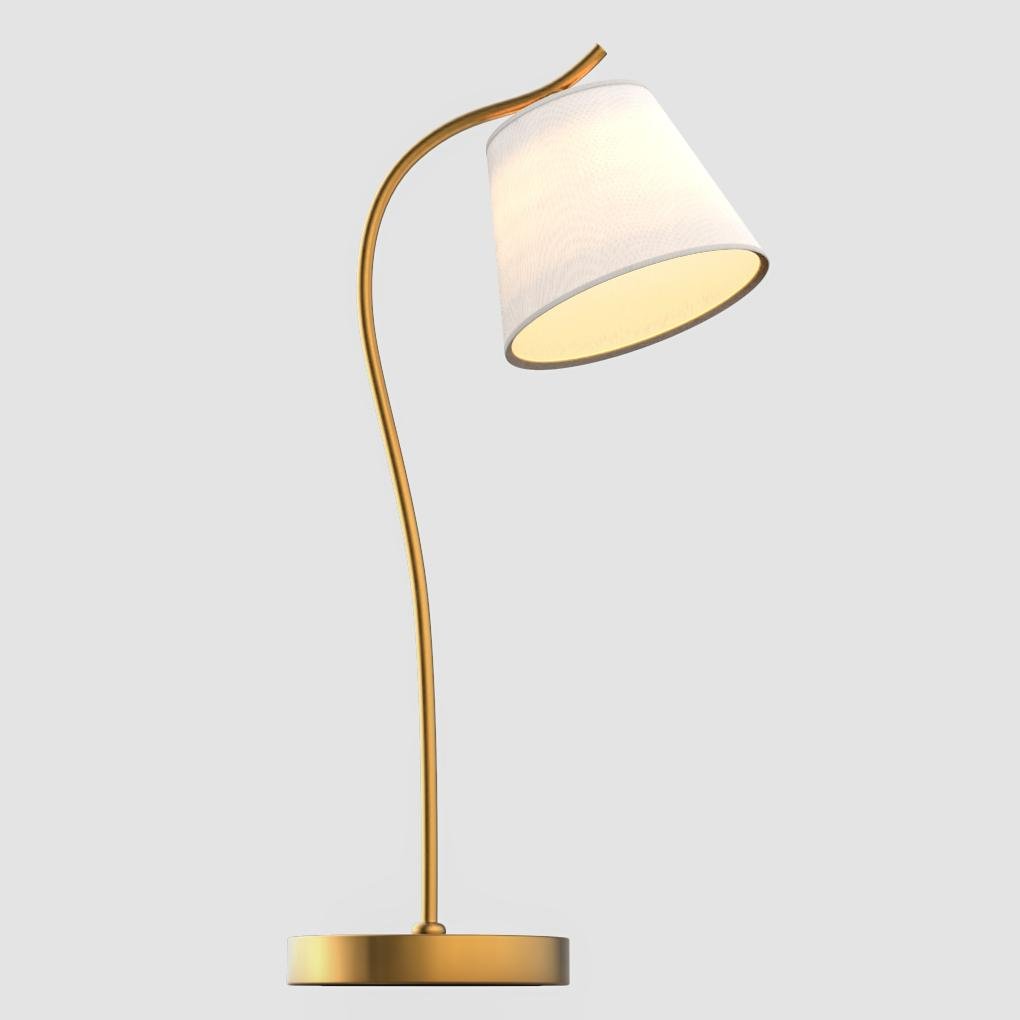 Ferro Desk Lamp