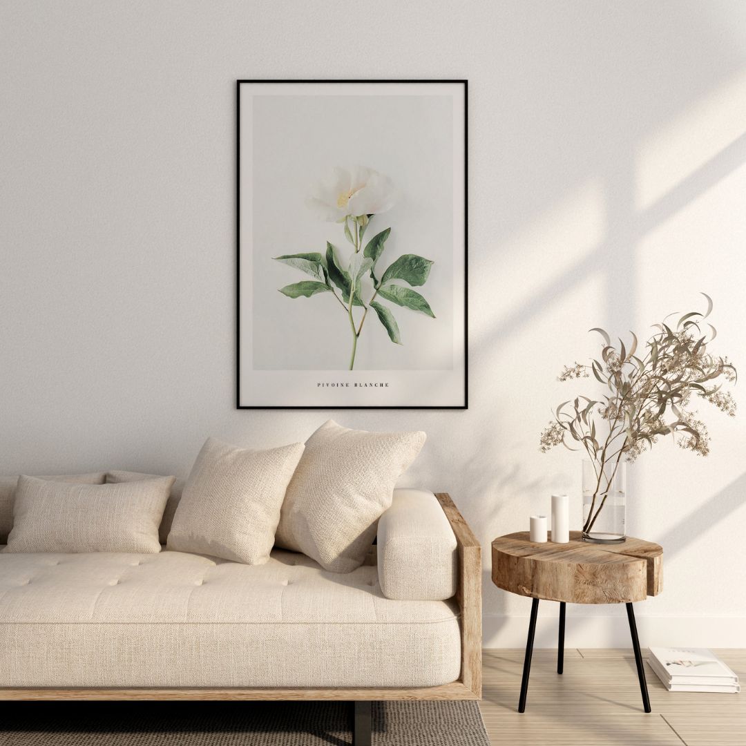 White Peony