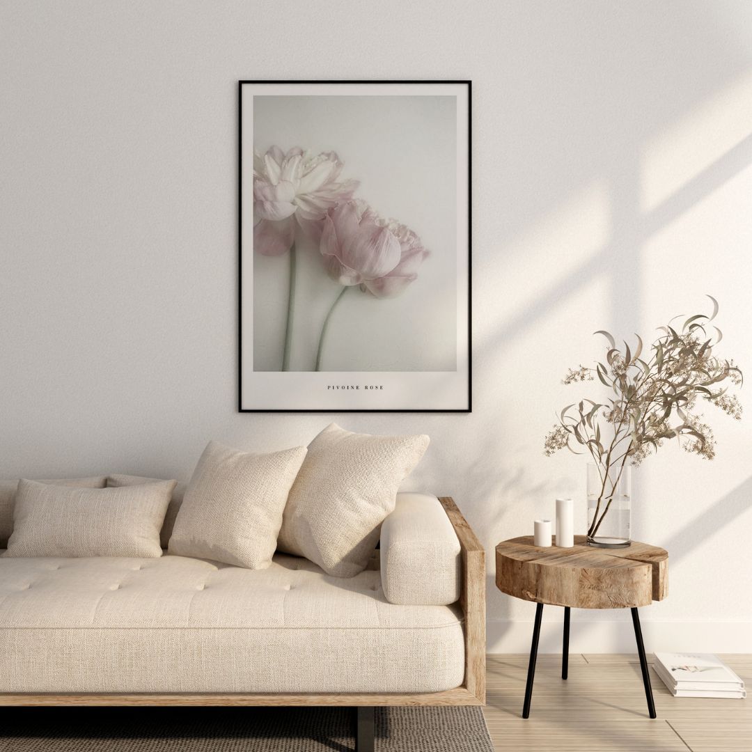 Pink Peony