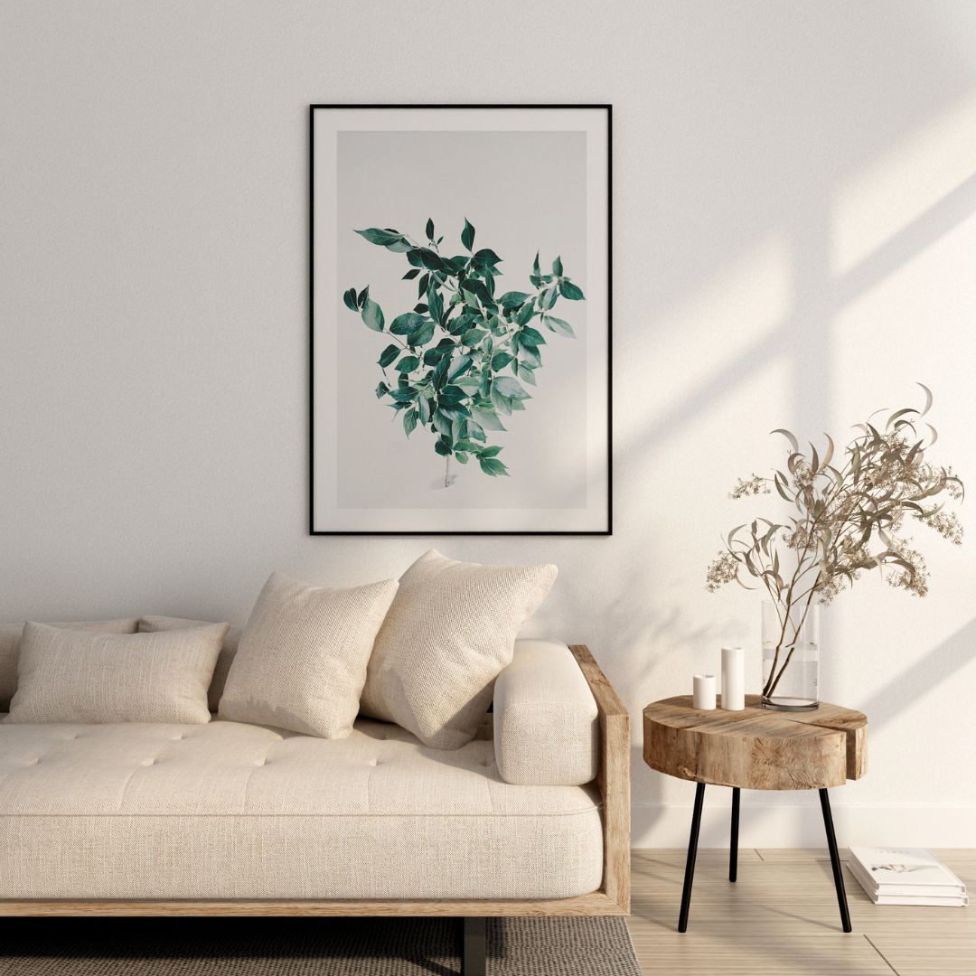 Walnut Branch