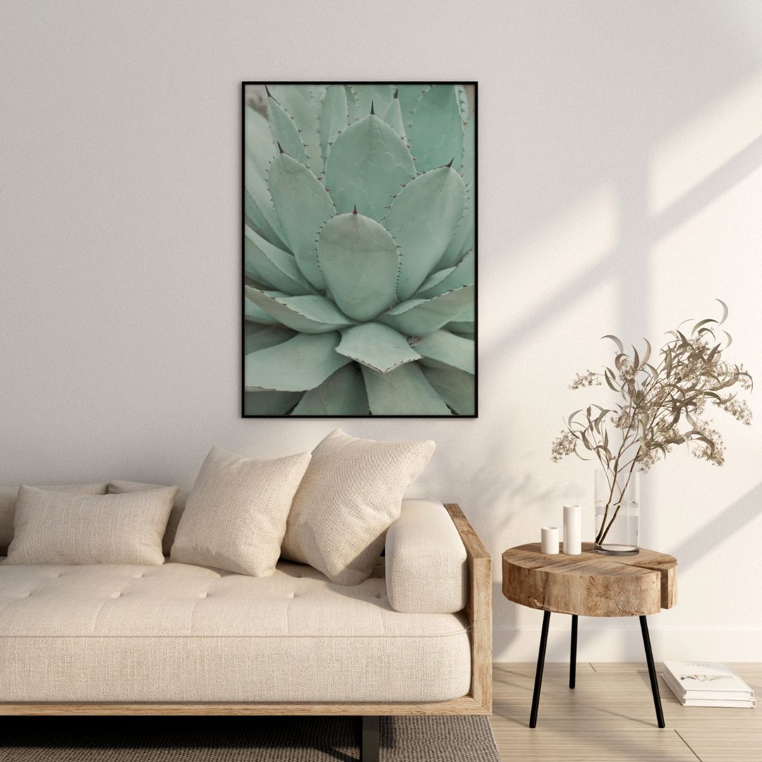 Desert Oasis