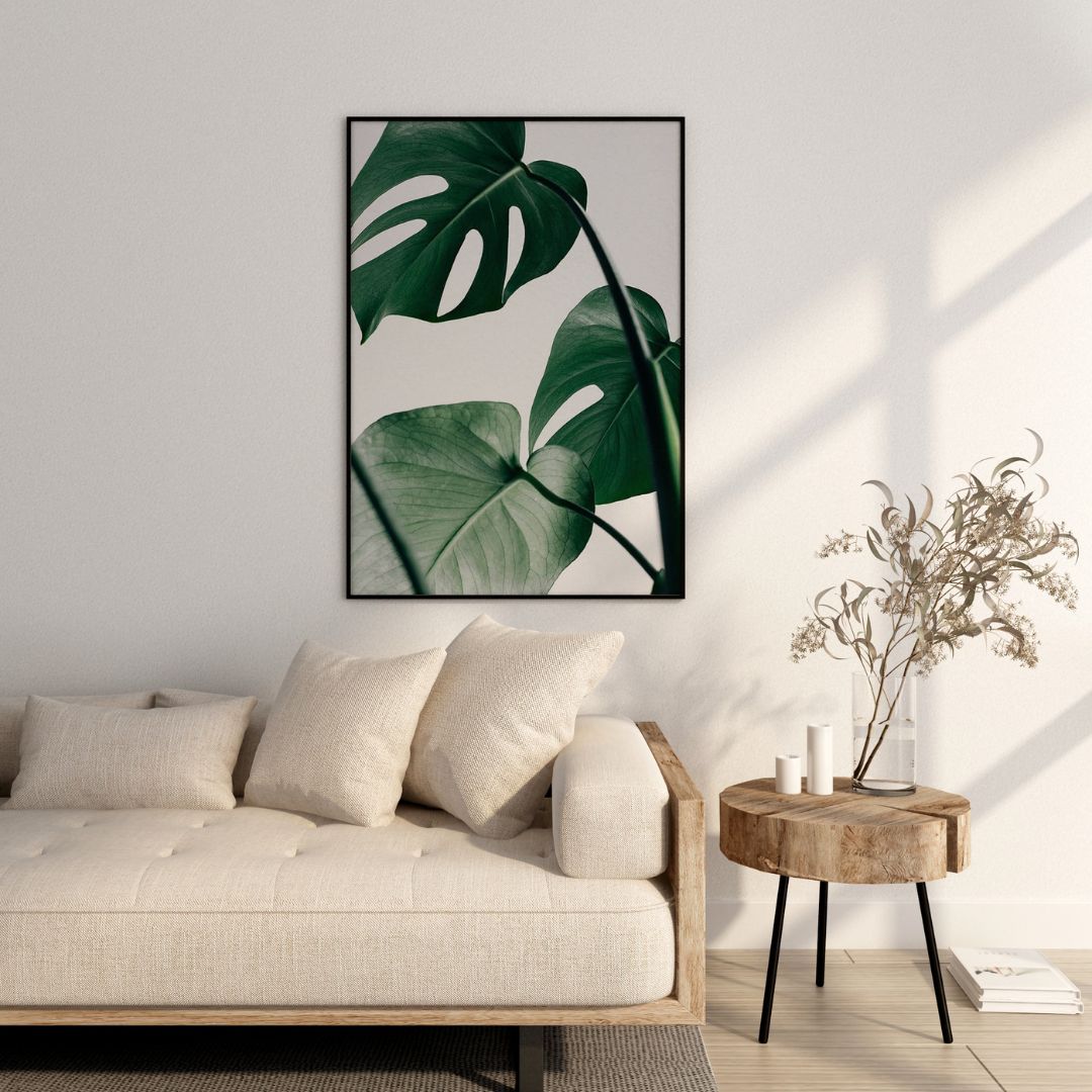 Monstera Leaf