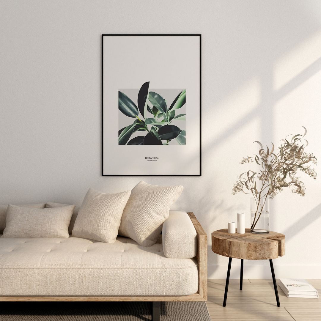 Rubber Plant