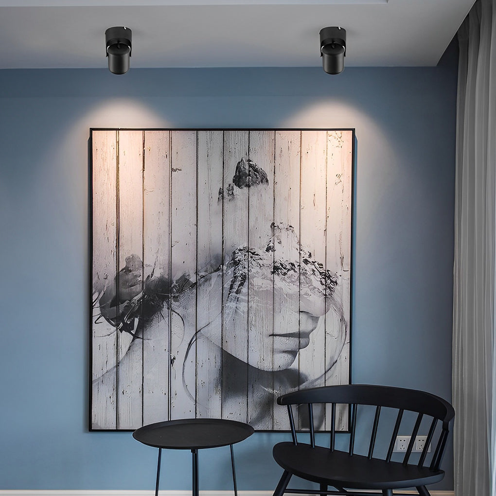 Aria Directional Light