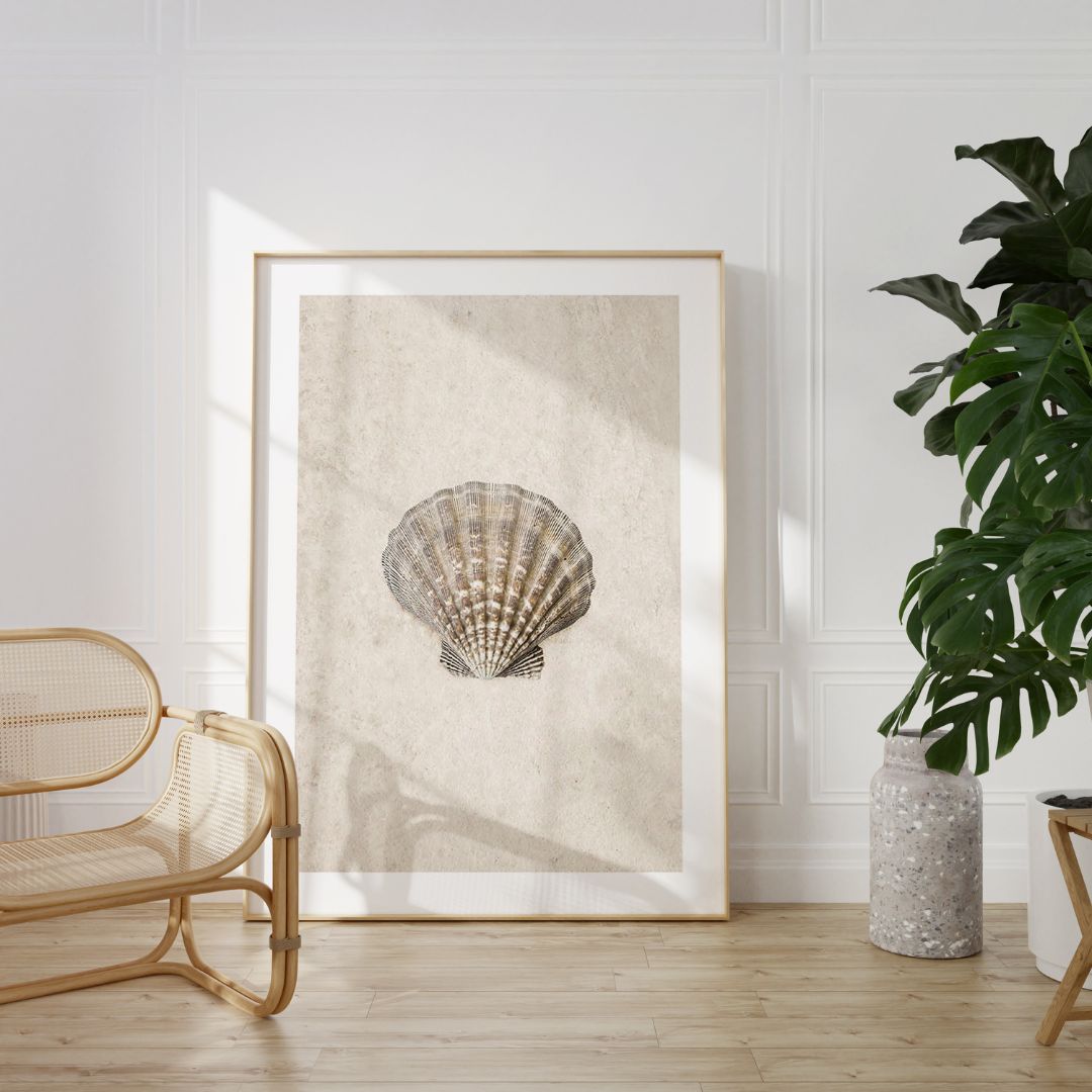 Shell Study