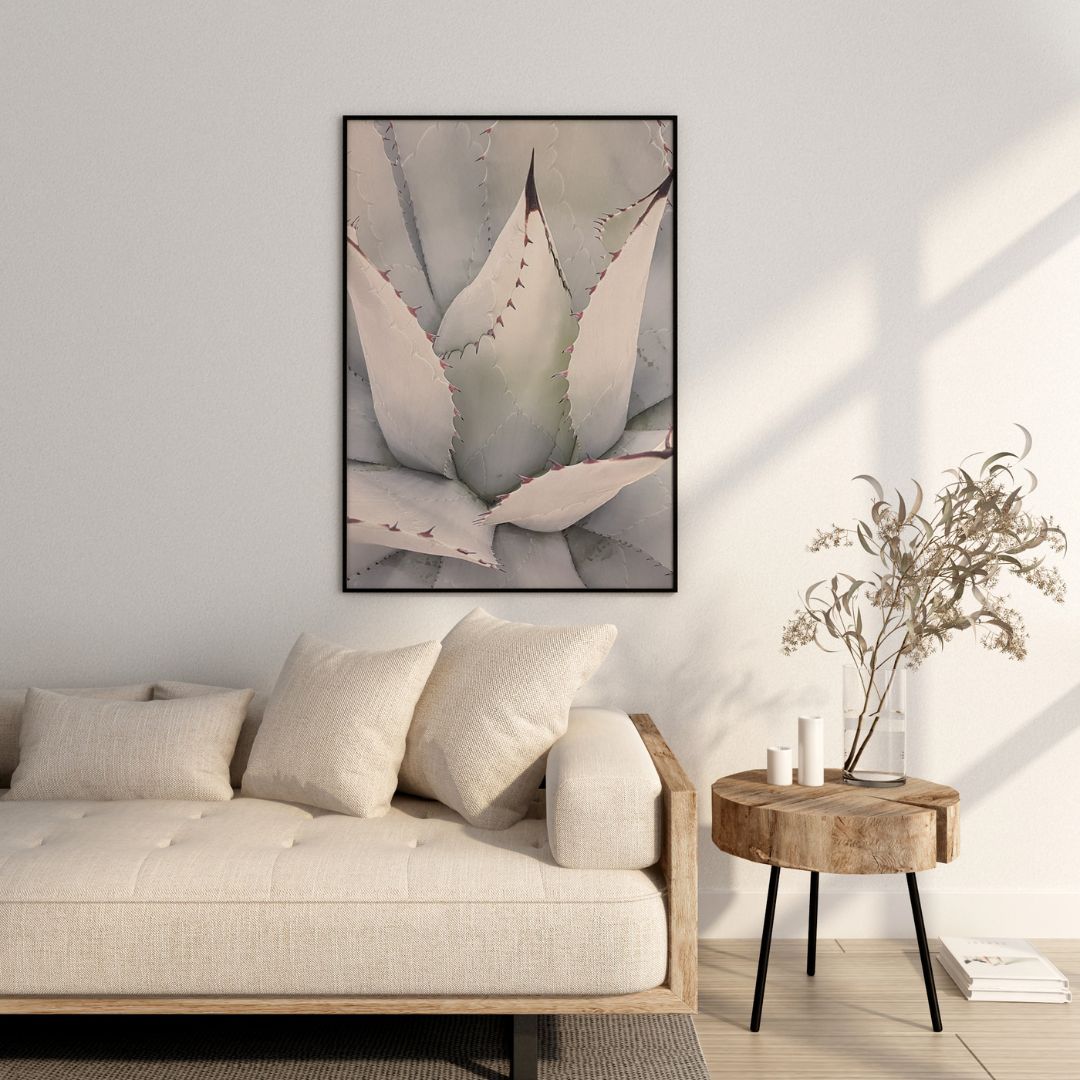 Agave