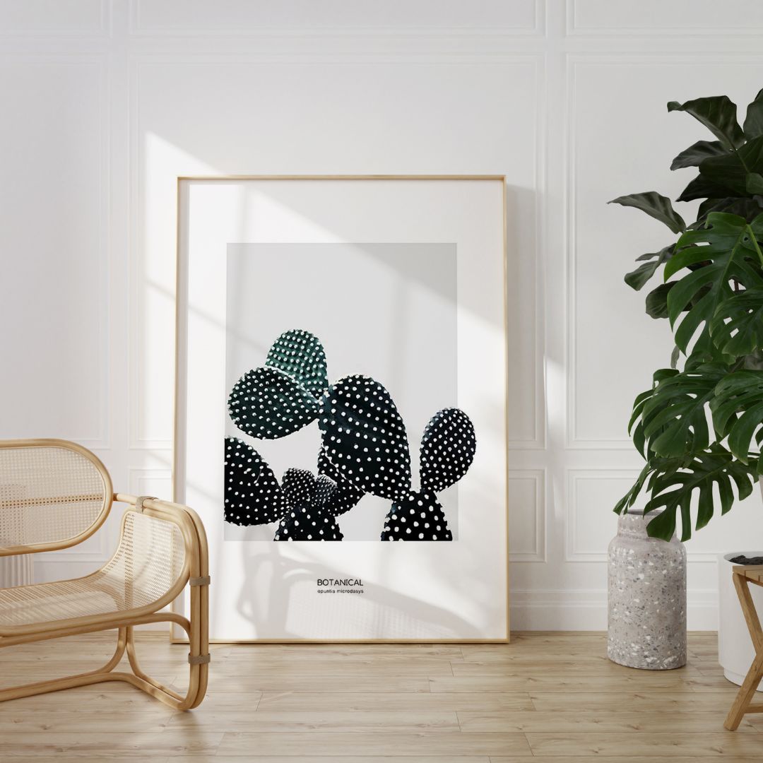 Desert Opuntia