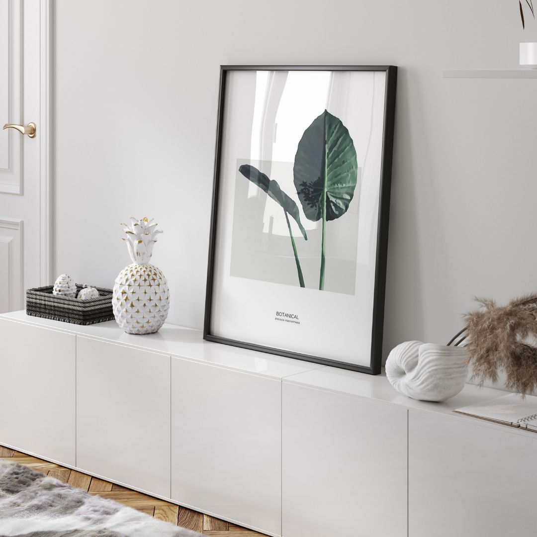 Alocasia Leaf