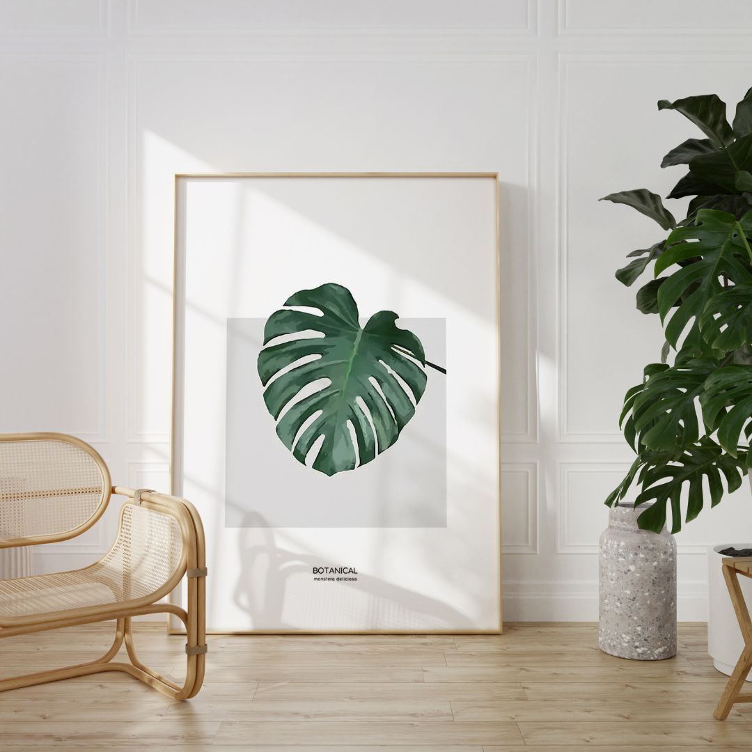 Split Leaf