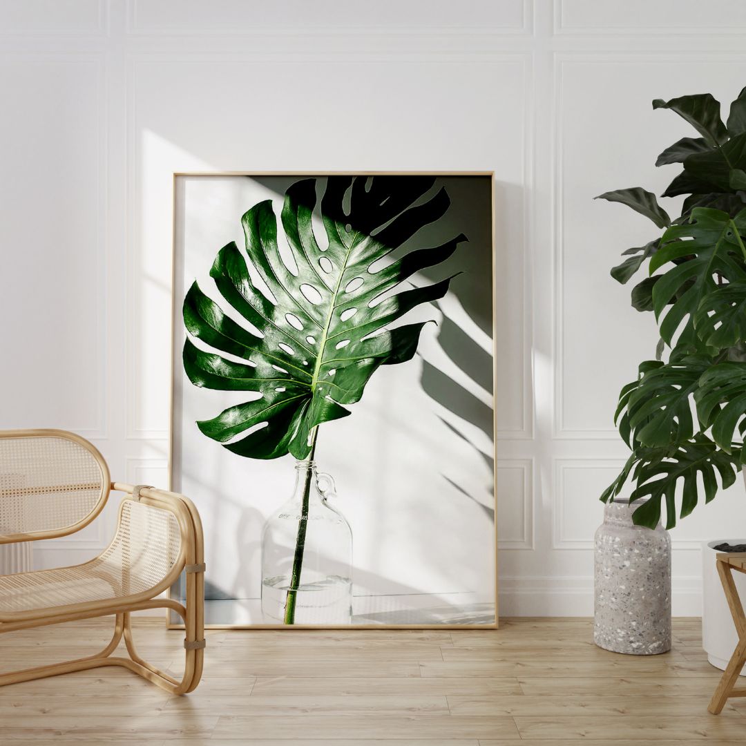 Tropical Leaf