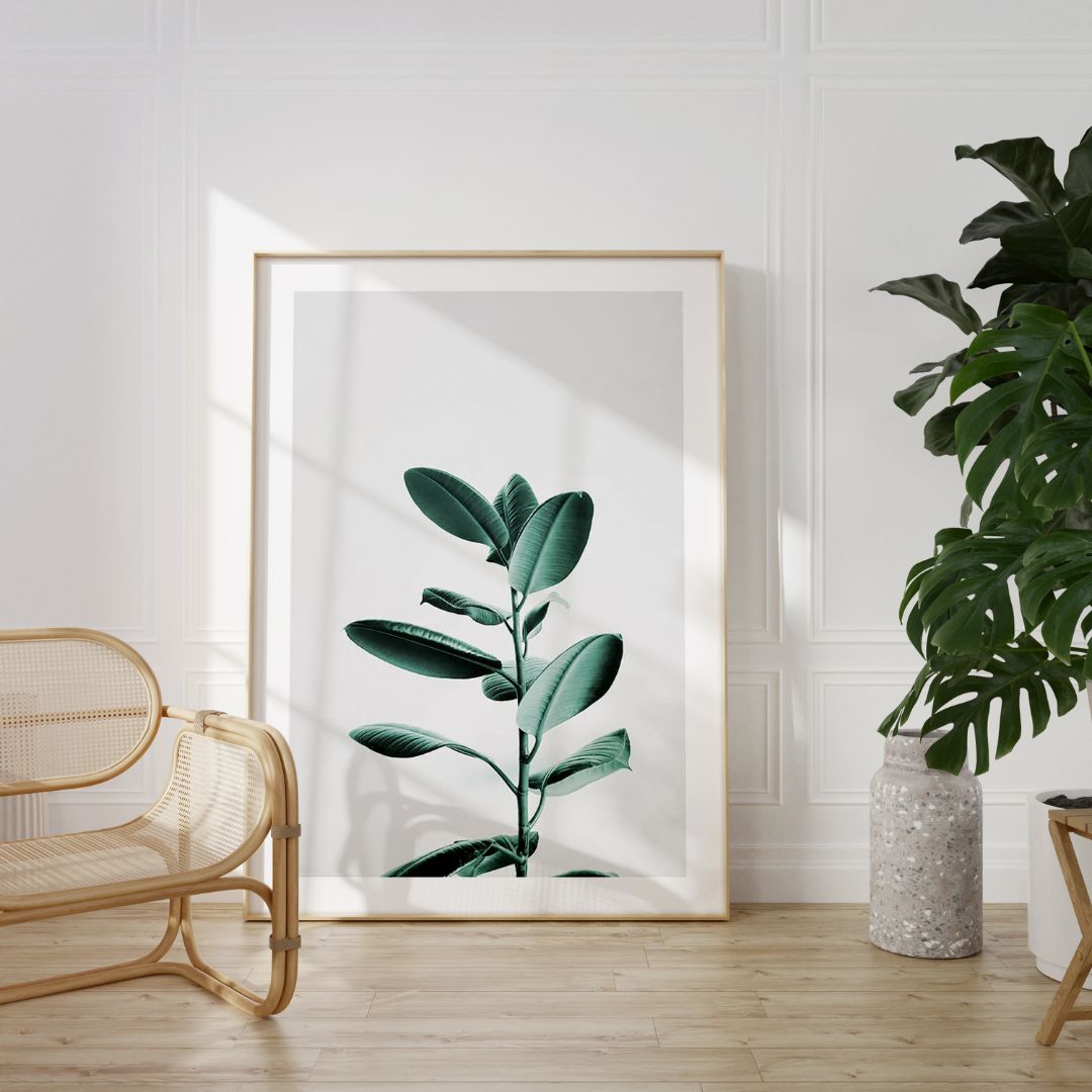 Sacred Leaf