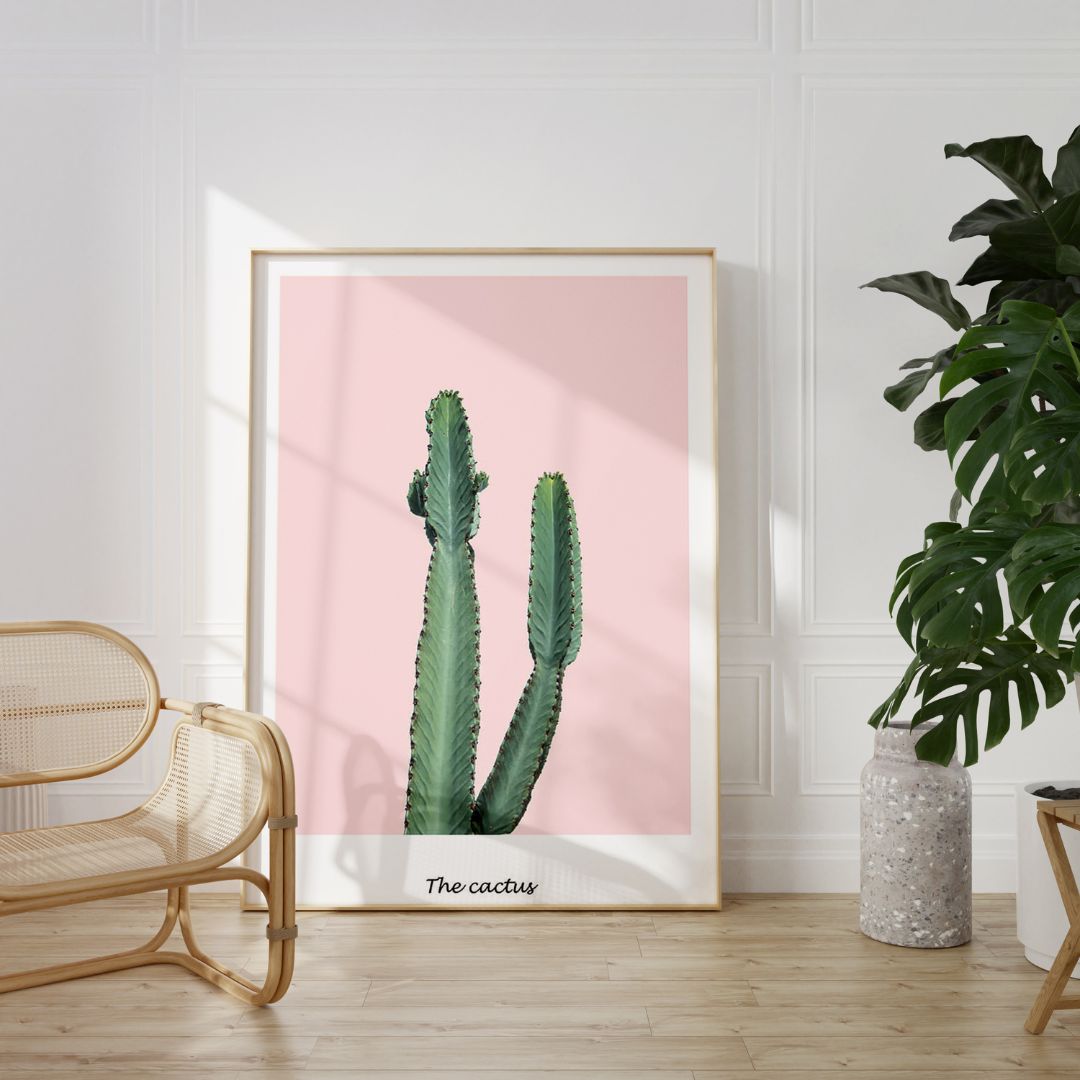 Blush Cactus