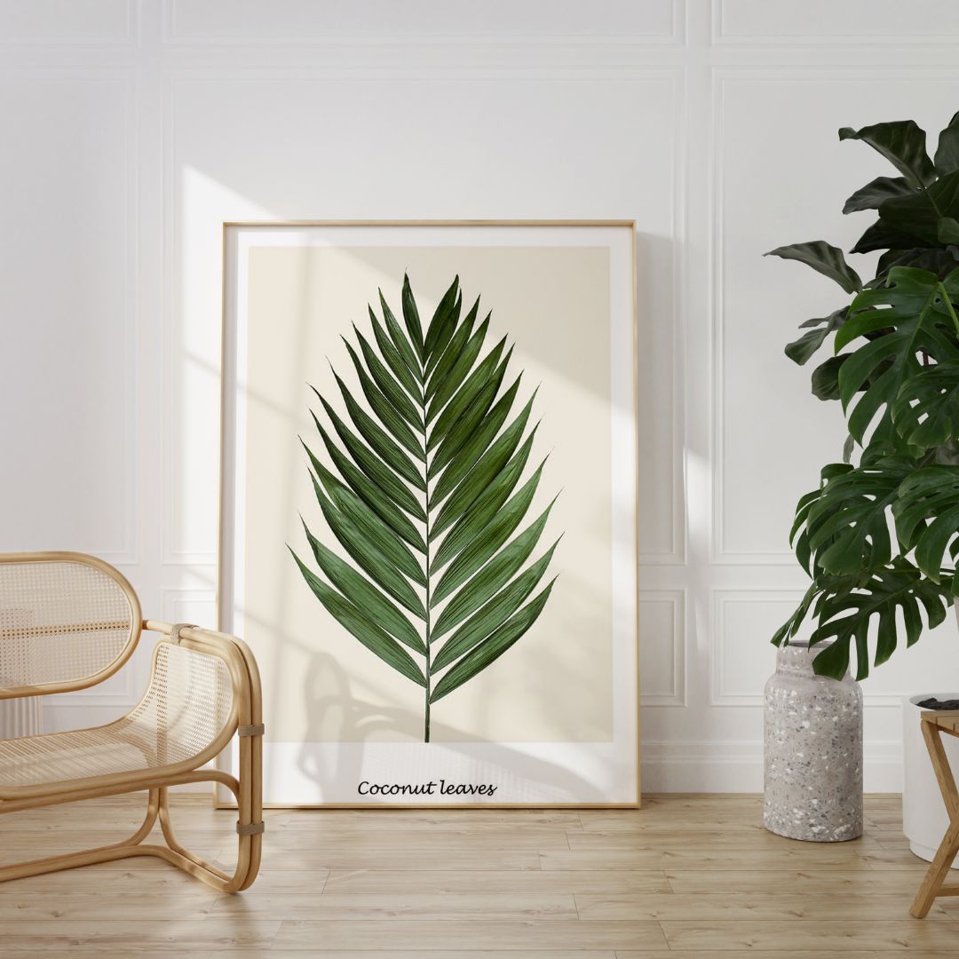 Coconut Palm
