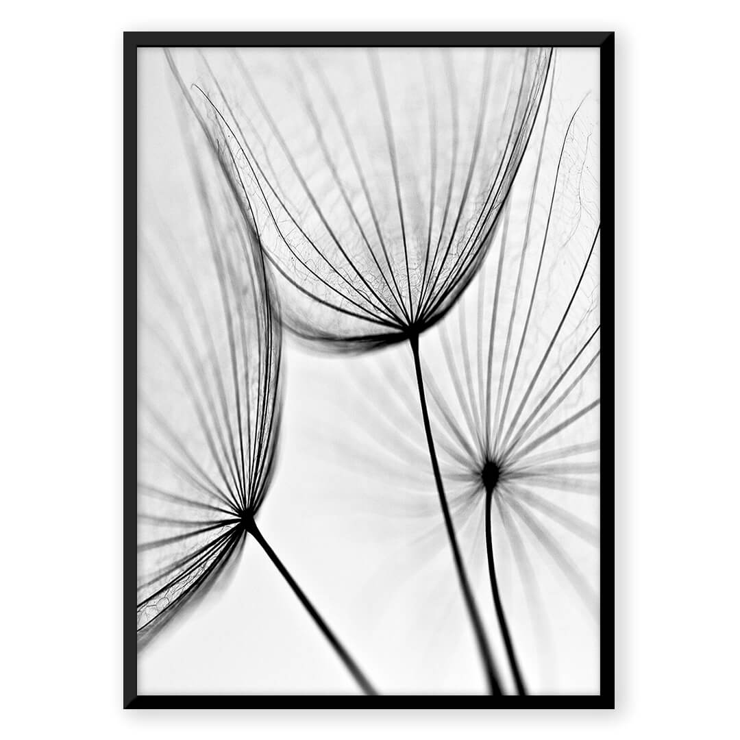 Fragile