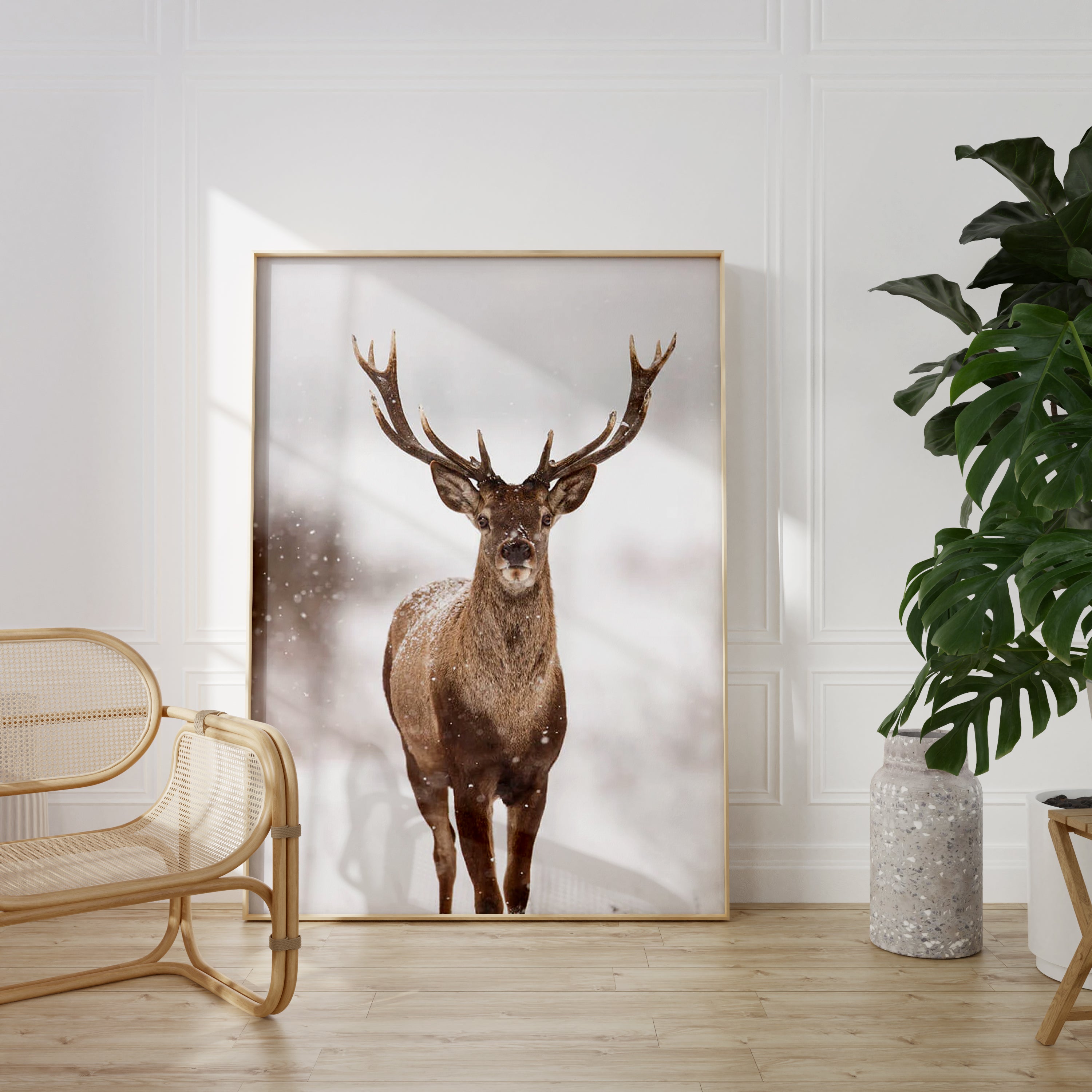 Wild Deer