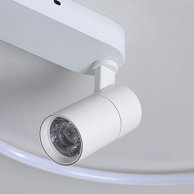 Ella Directional Light