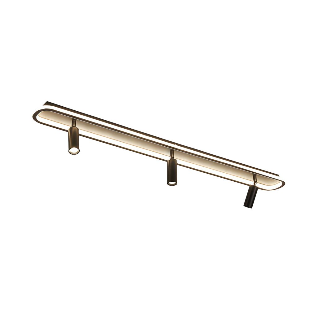 Zara Directional Light