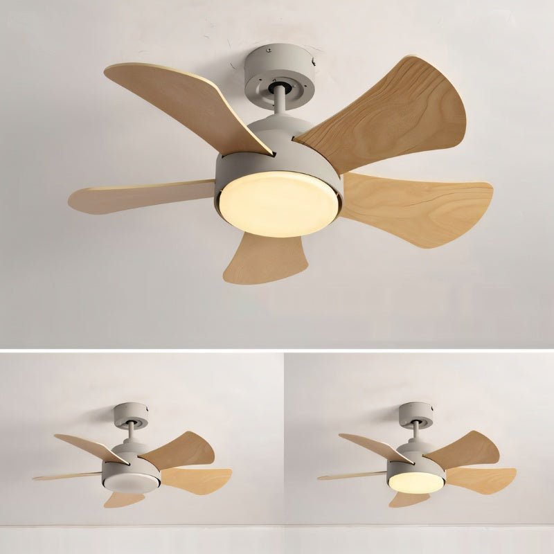 Zyron Ceiling Fan