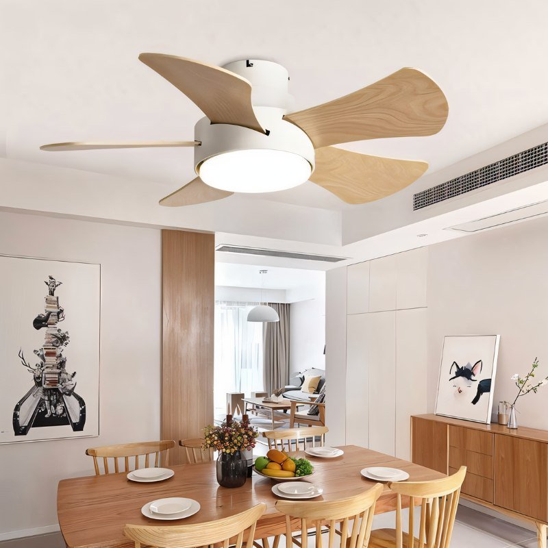 Zyron Ceiling Fan