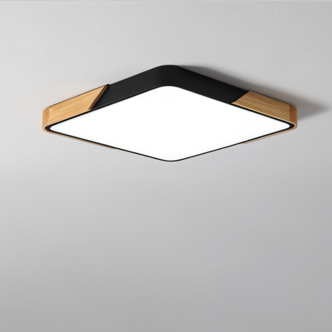 Feron Ceiling Light