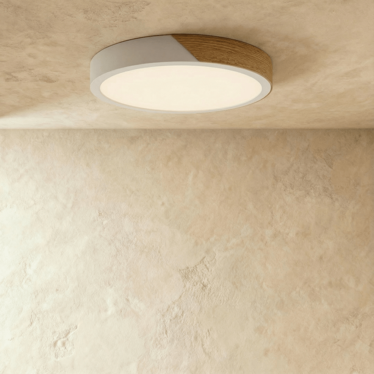 Sorelle Ceiling Light