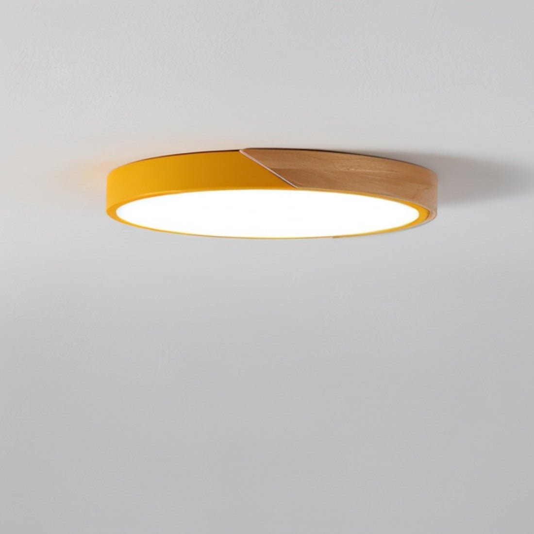 Feron Ceiling Light