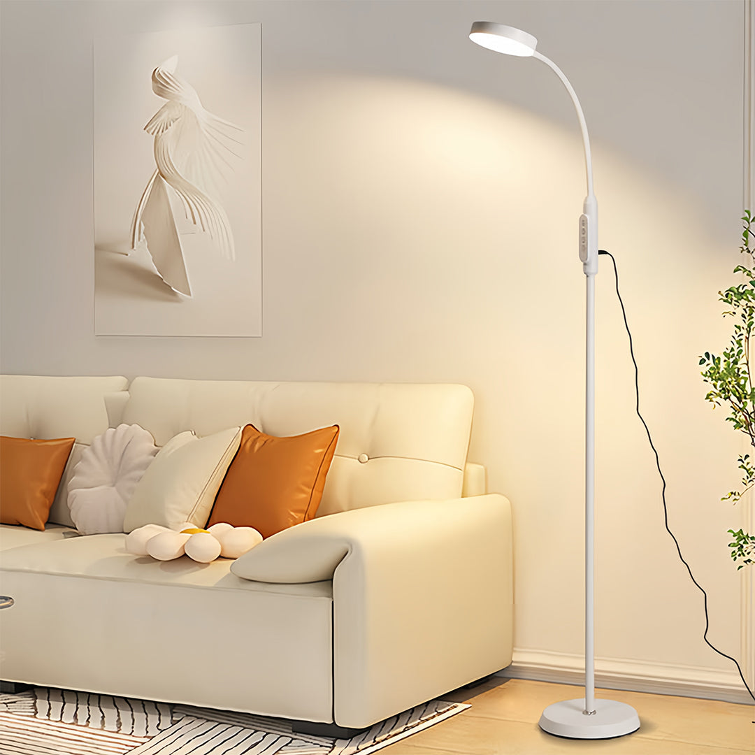 Clara Floor Lamp