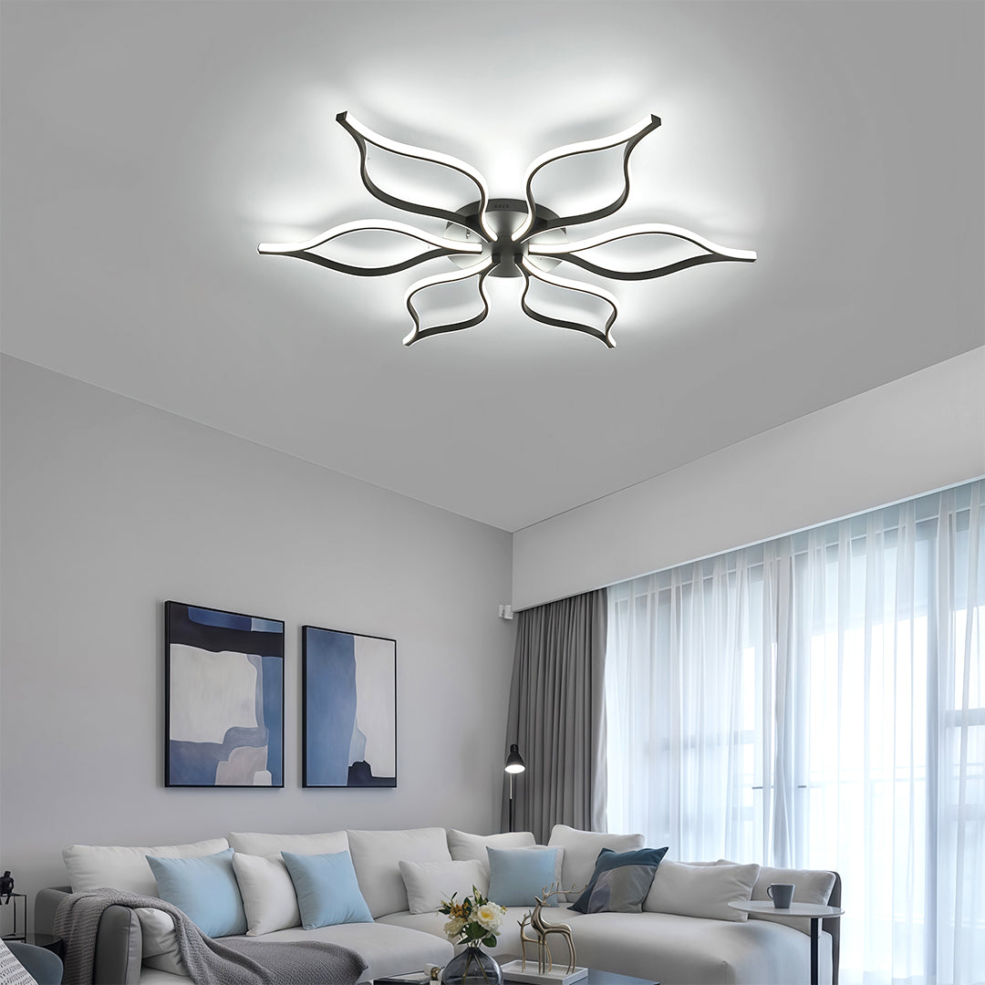 Lioro Ceiling Light