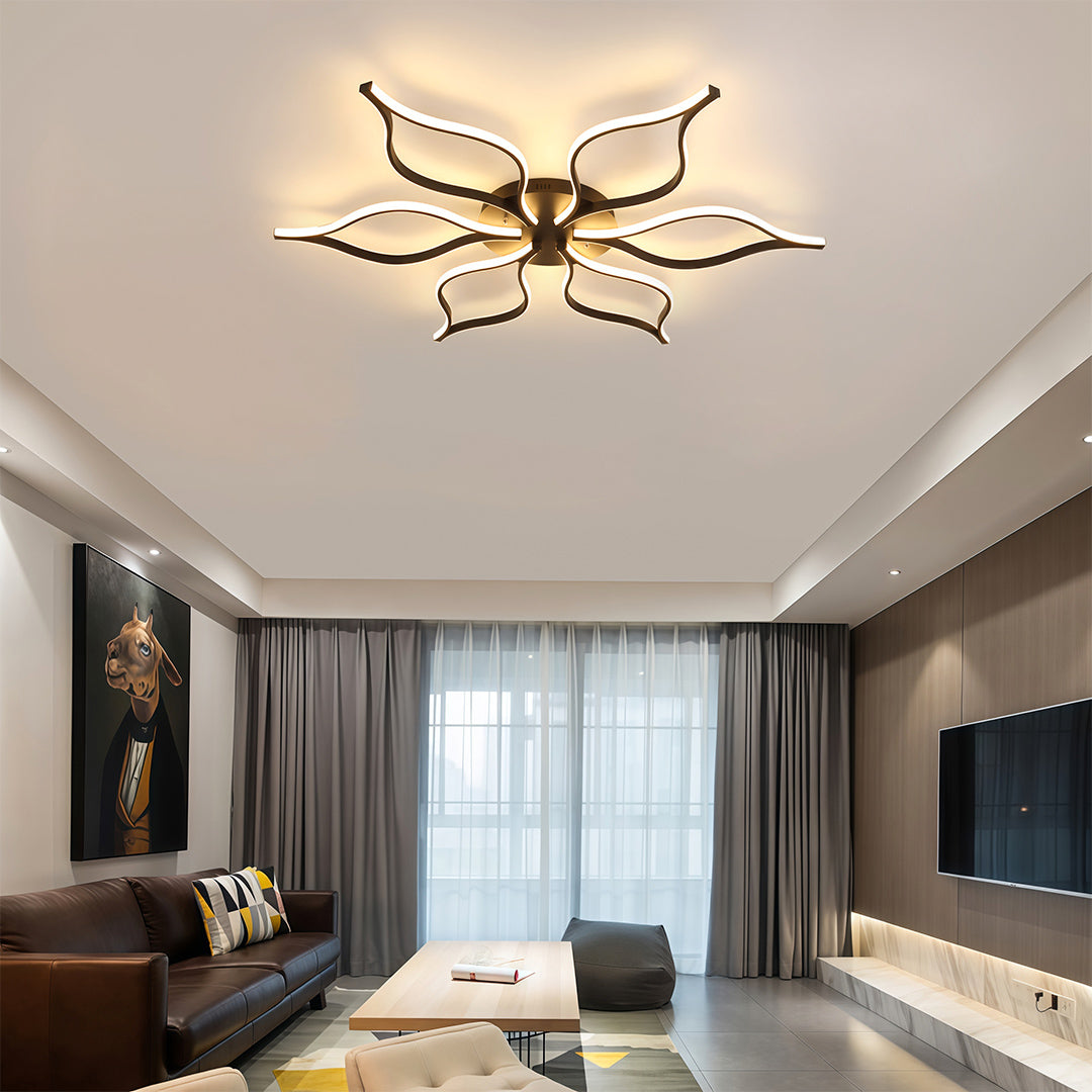 Lioro Ceiling Light