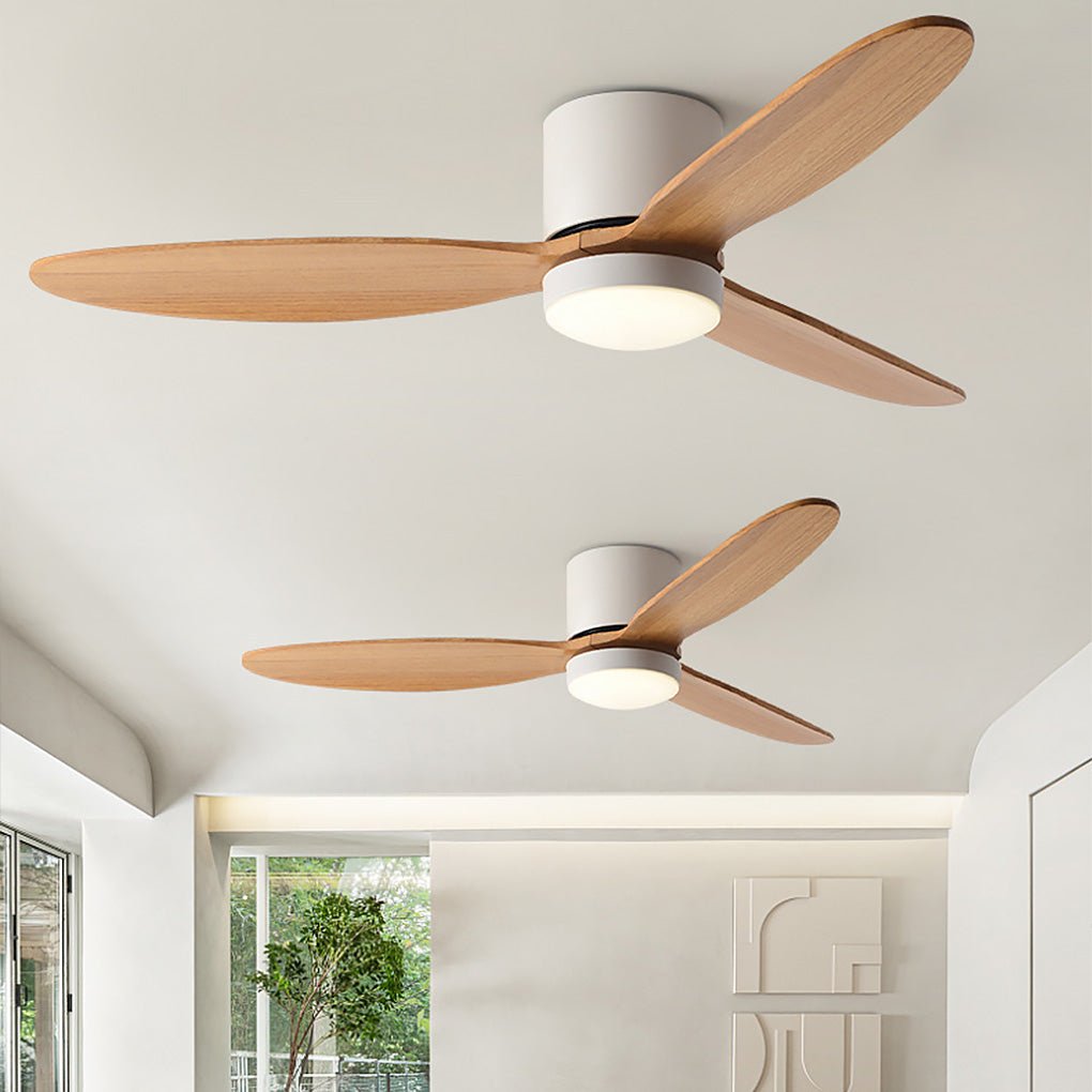 Maia Ceiling Fan