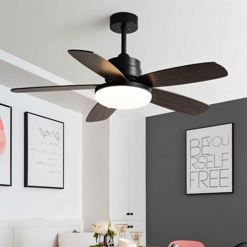 Ravion Ceiling Fan