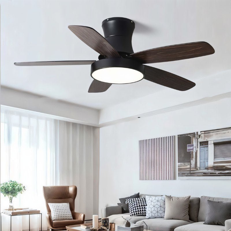 Ravion Ceiling Fan