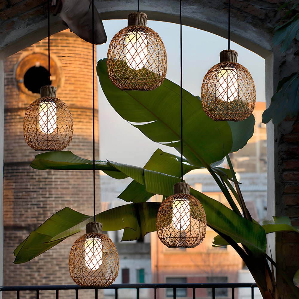 Caelis Rattan Outdoor Pendant Light