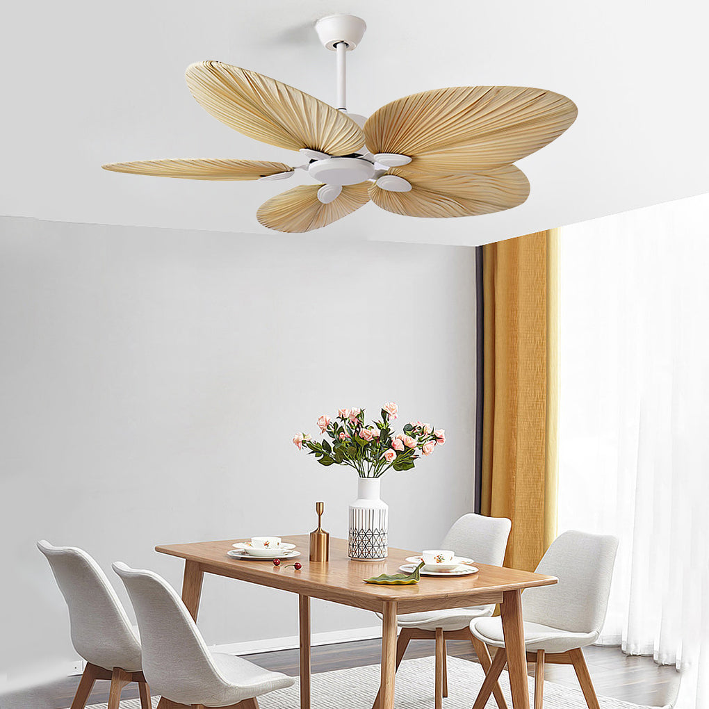 Kiri Ceiling Fan