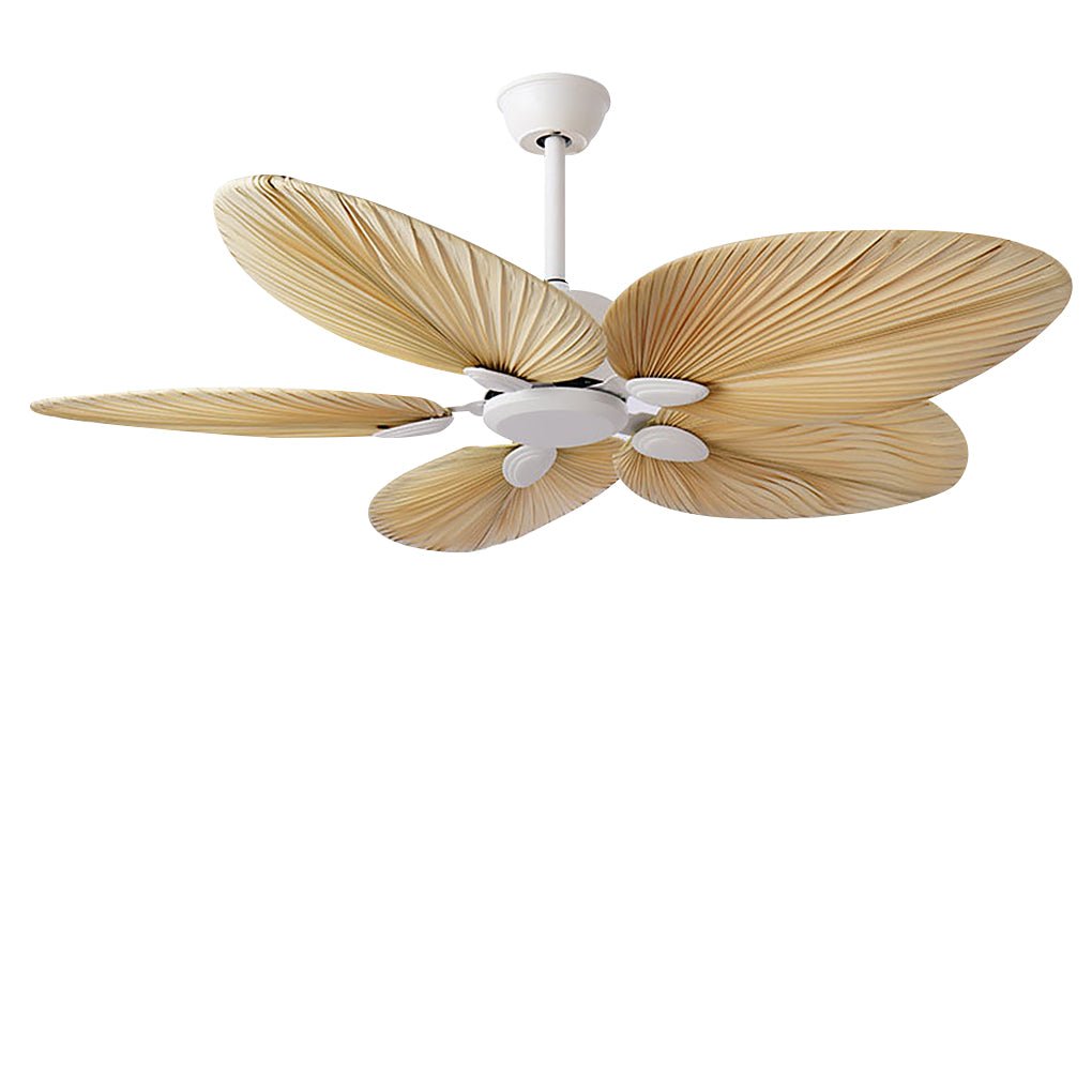 Kiri Ceiling Fan