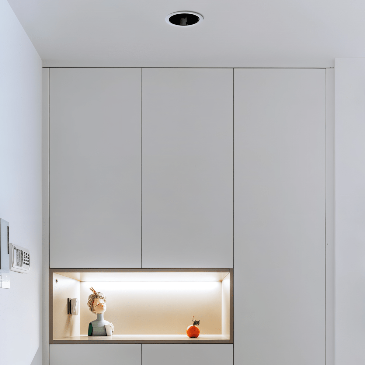 Torvane Adjustable Downlight