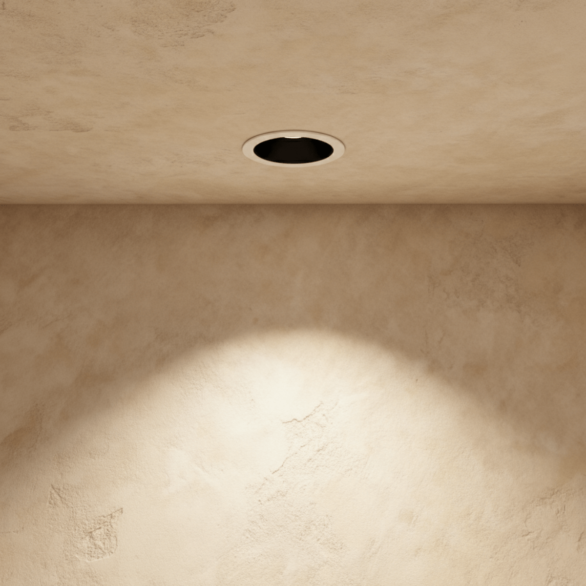 Torvane Adjustable Downlight