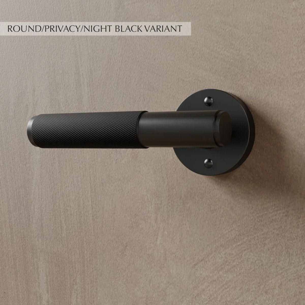 Valcor Brass Door Handle