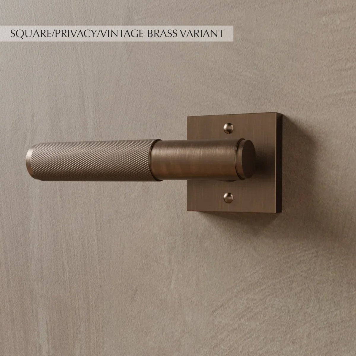 Valcor Brass Door Handle