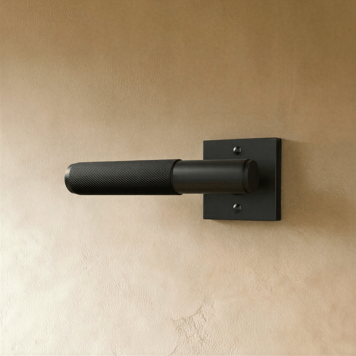 Valcor Brass Door Handle