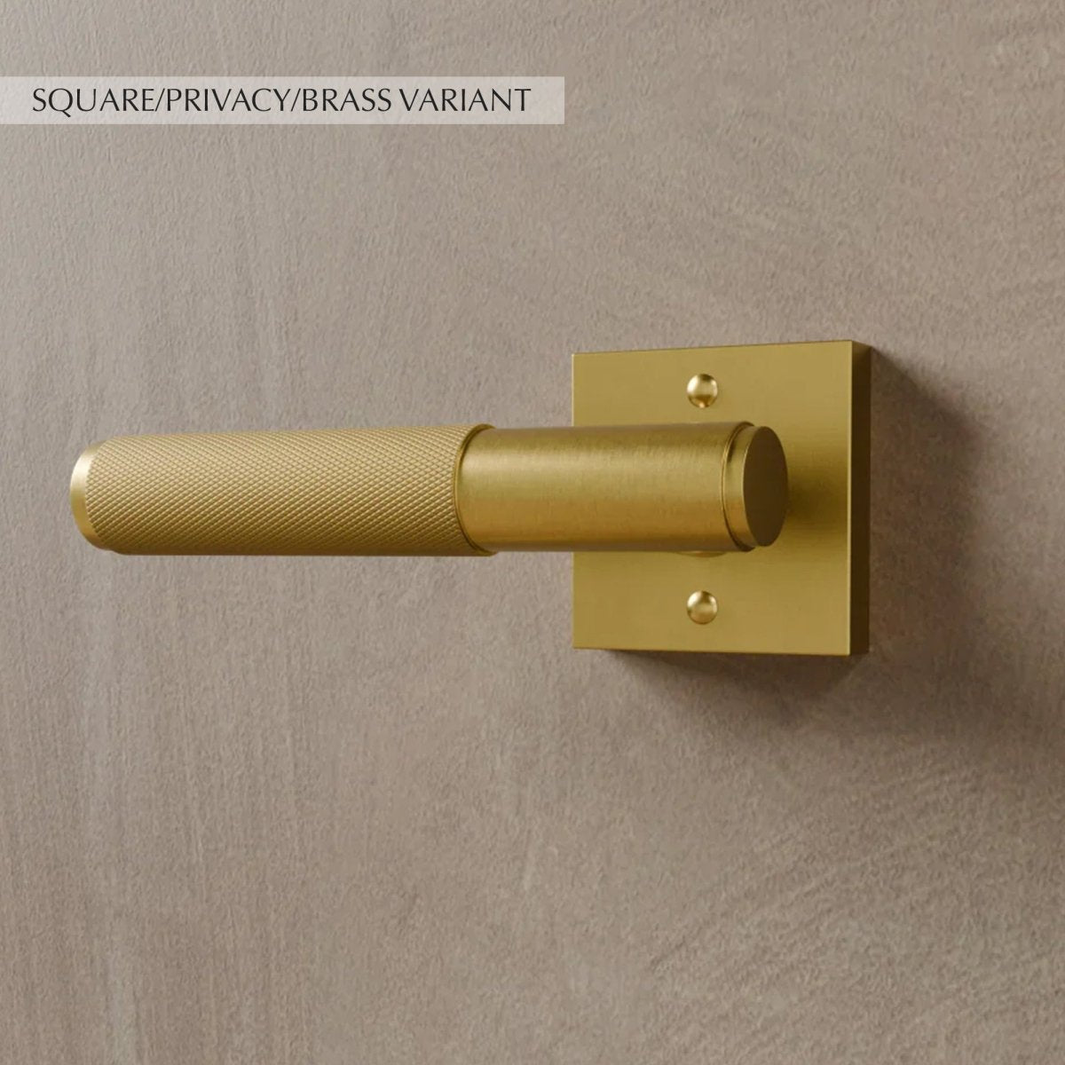 Valcor Brass Door Handle