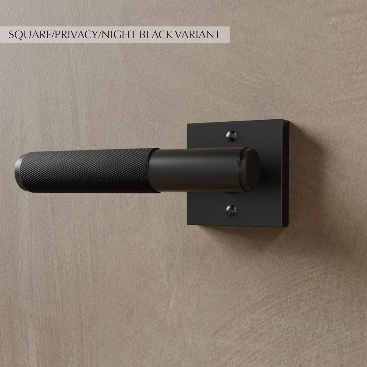 Valcor Brass Door Handle
