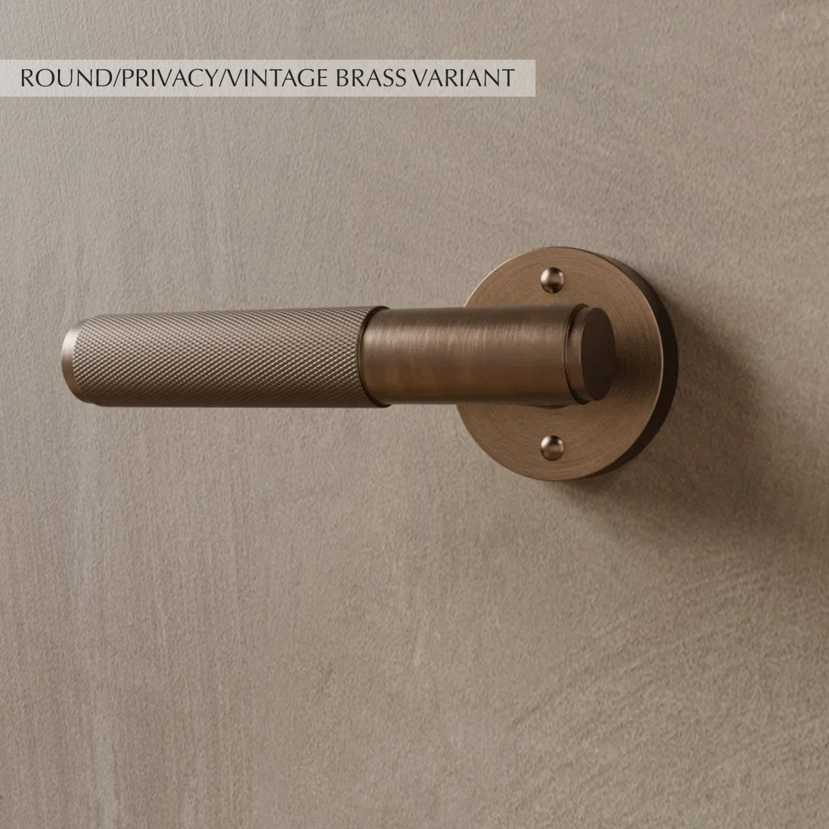 Valcor Brass Door Handle