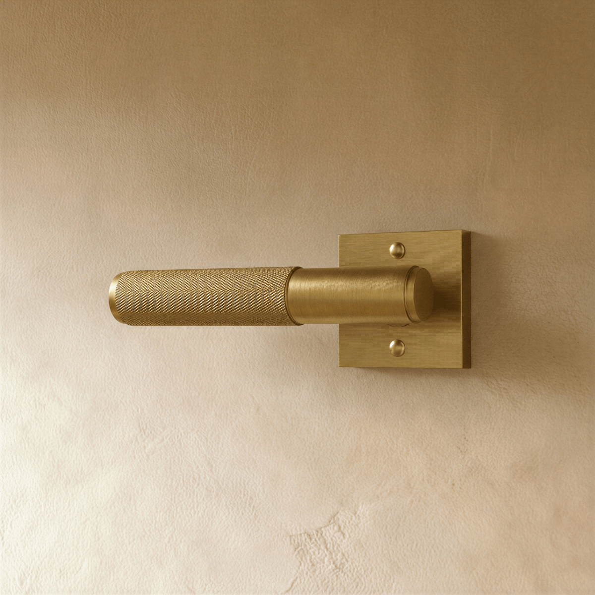 Valcor Brass Door Handle