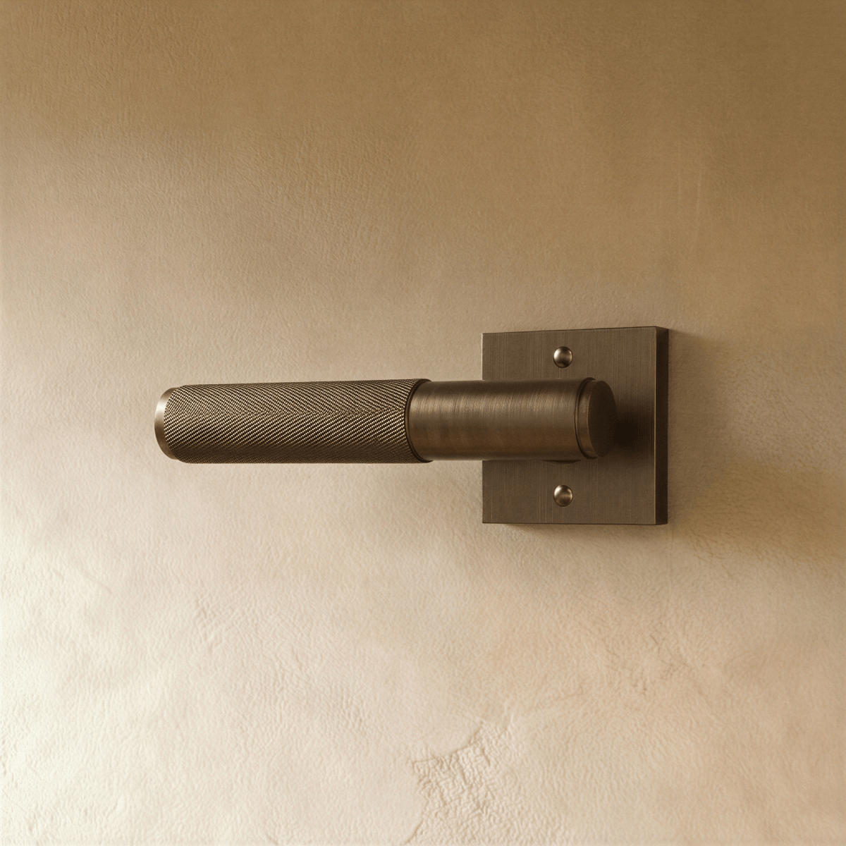 Valcor Brass Door Handle