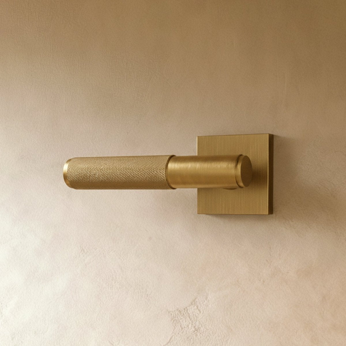 Valcor Brass Door Handle