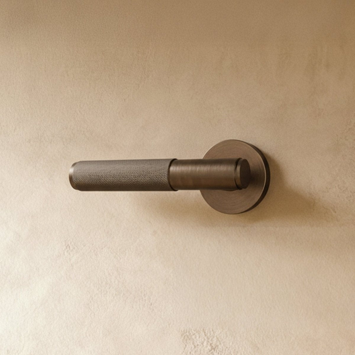 Valcor Brass Door Handle