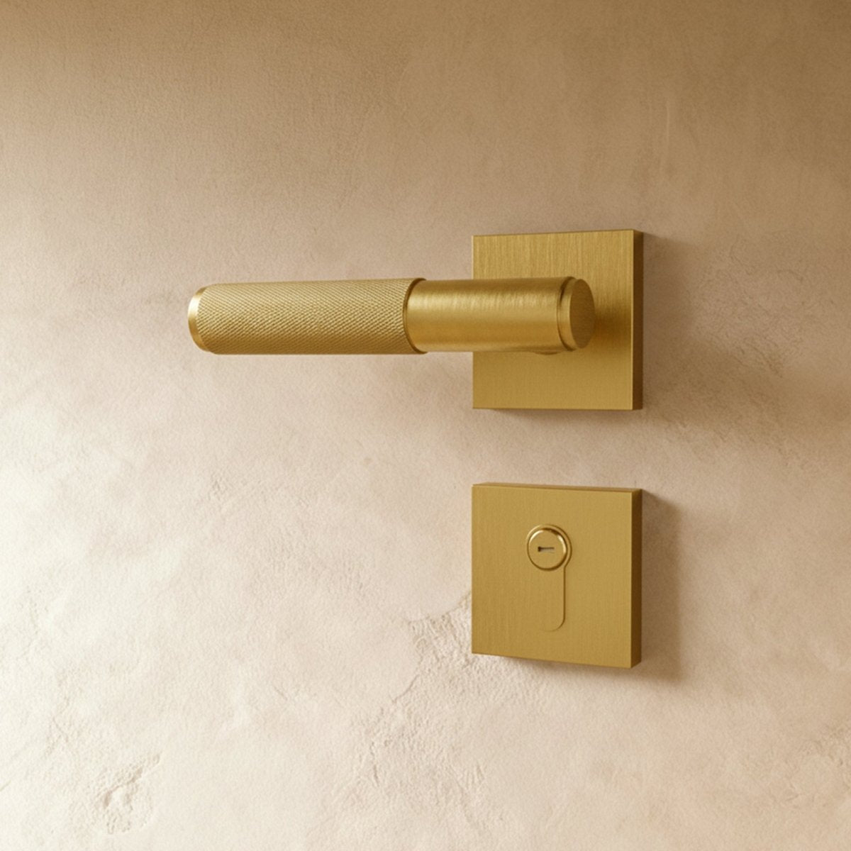 Valcor Brass Door Handle