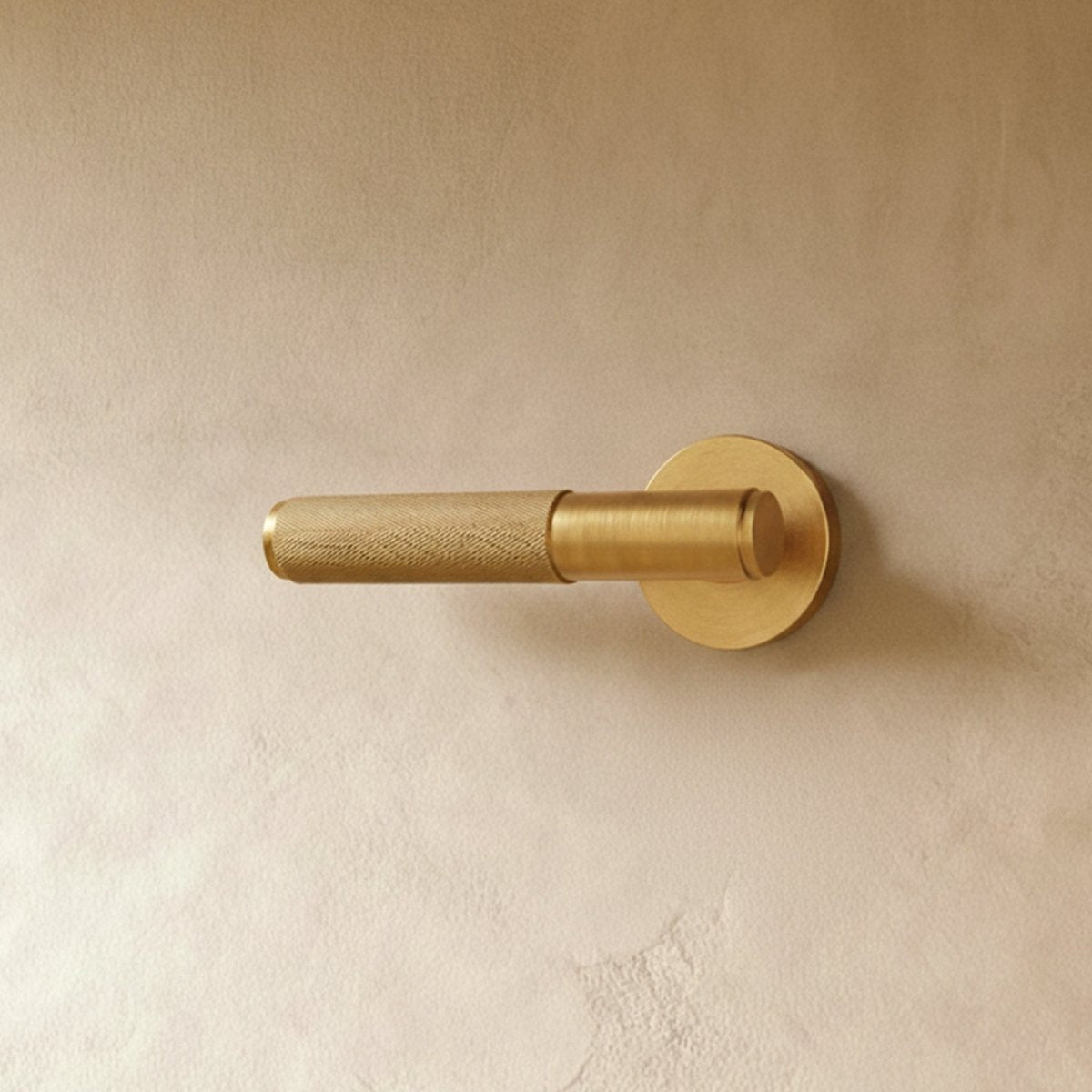 Bravor Door Handle