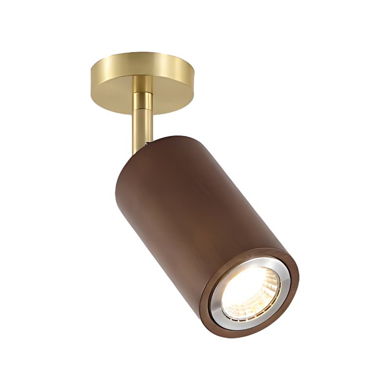 Lulu Directional Light